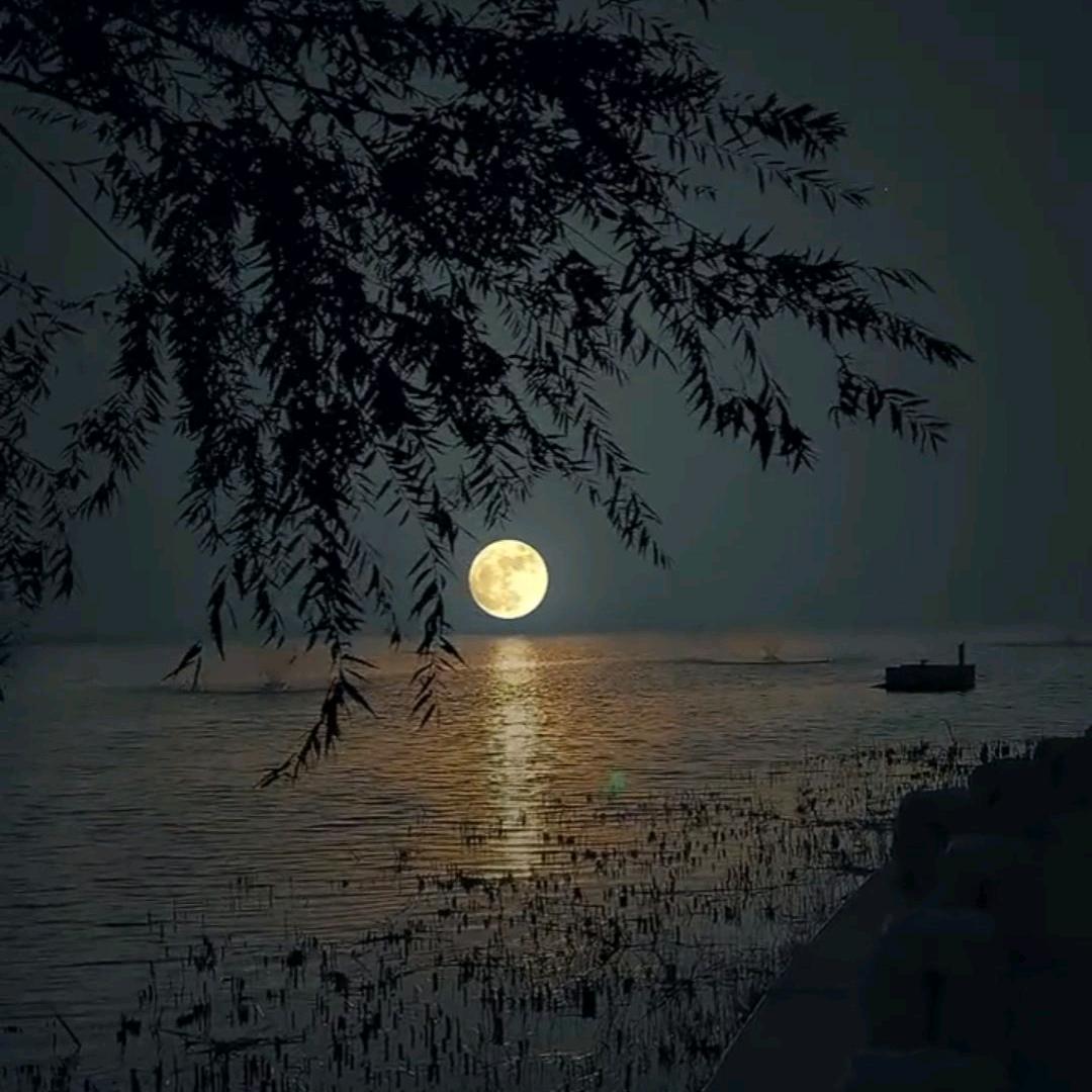 生活百般滋味，人生需要笑对。📸