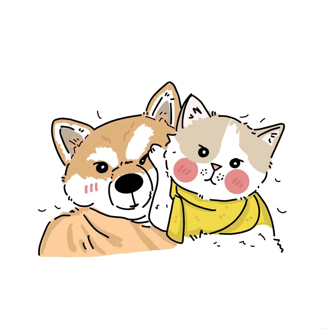 小土豆萌宠
