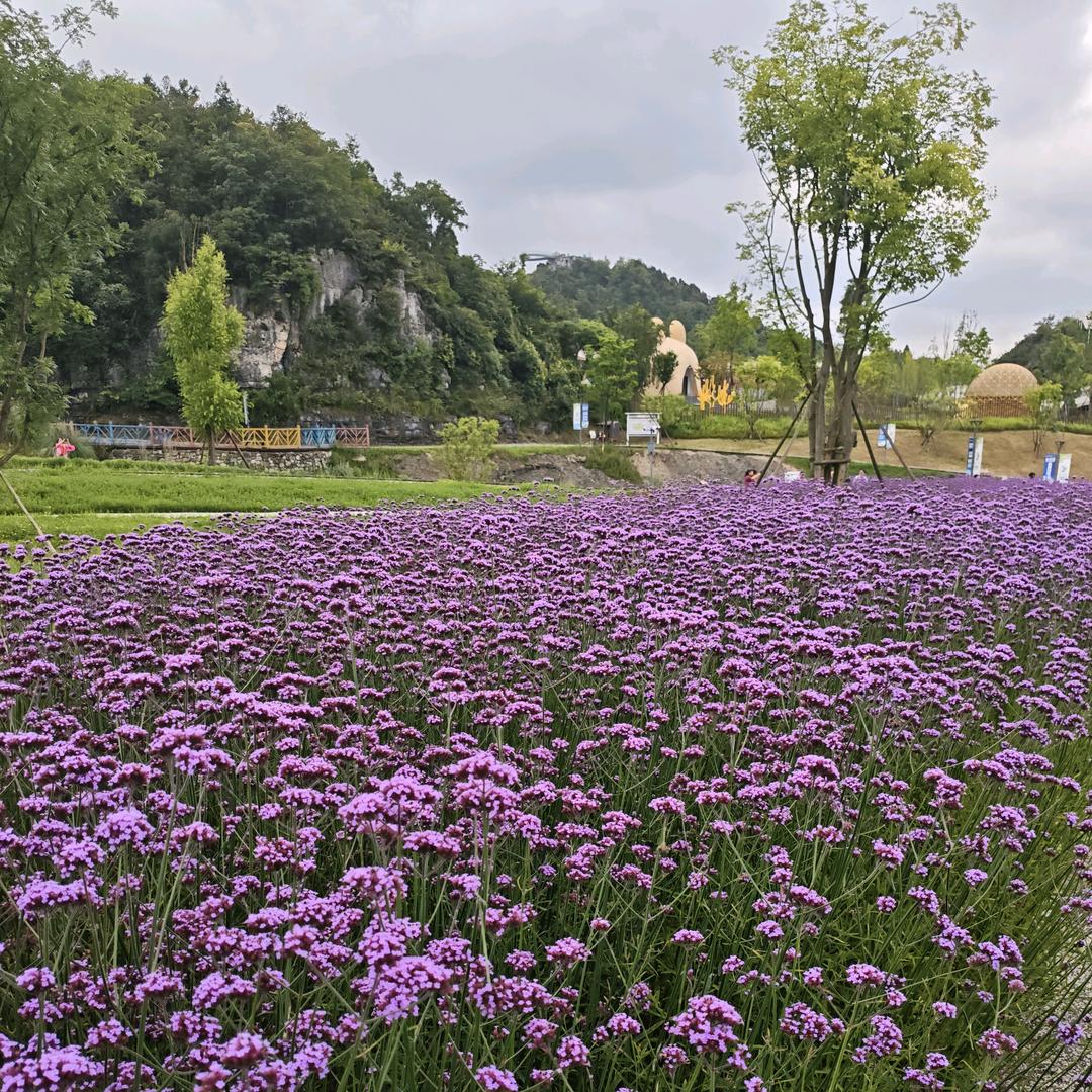 敬天爱人！心怀感恩。