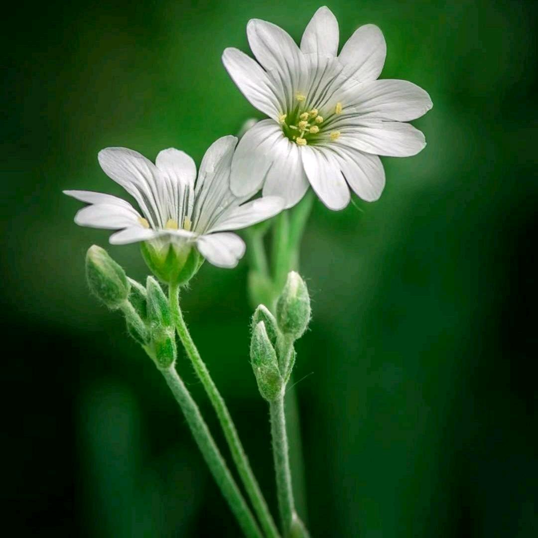 天天渔港海鲜家常菜馆/菲姐