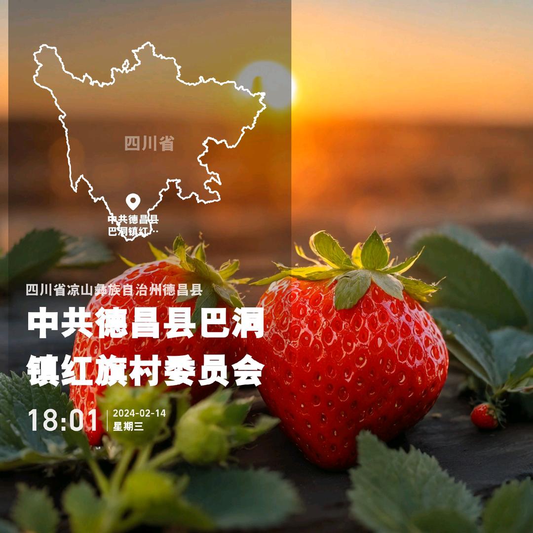 费大姐露天草莓园云种植