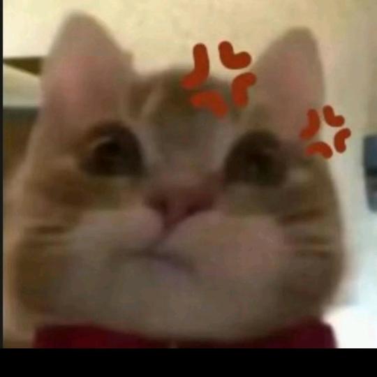 康康国服鬼（排位上分dd）