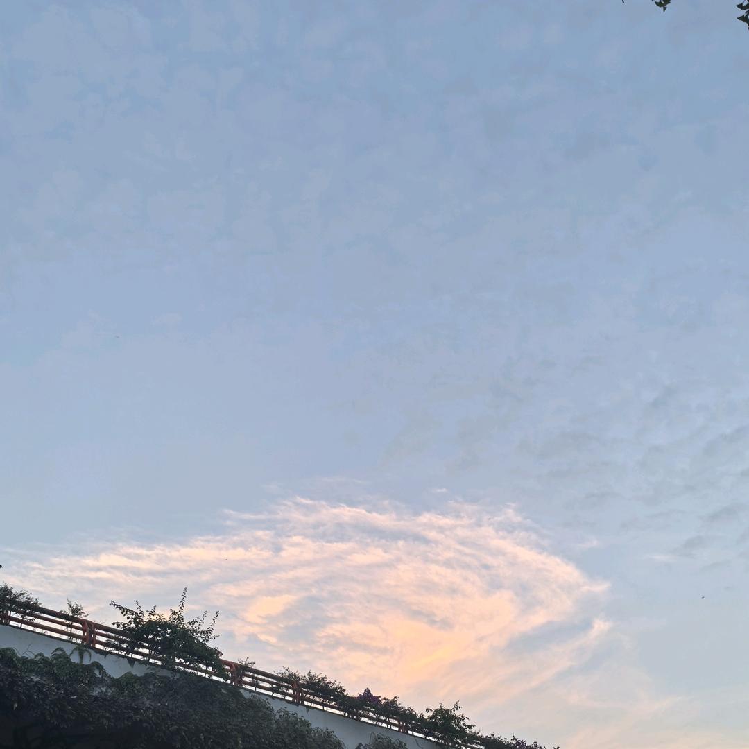 摆摆