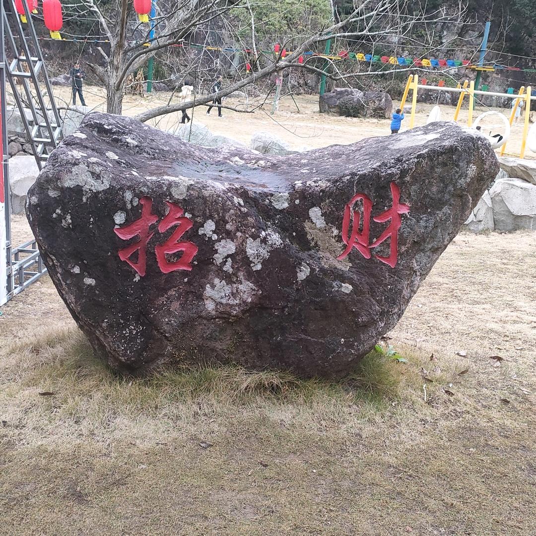 财神的小跟班💫