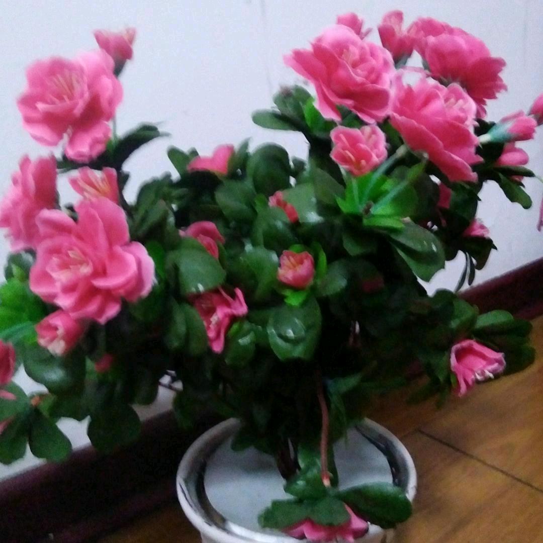 好上加好