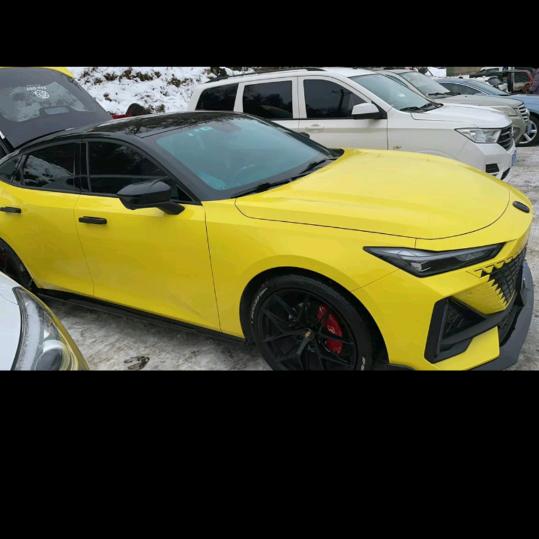 《  一    生   不   变  》