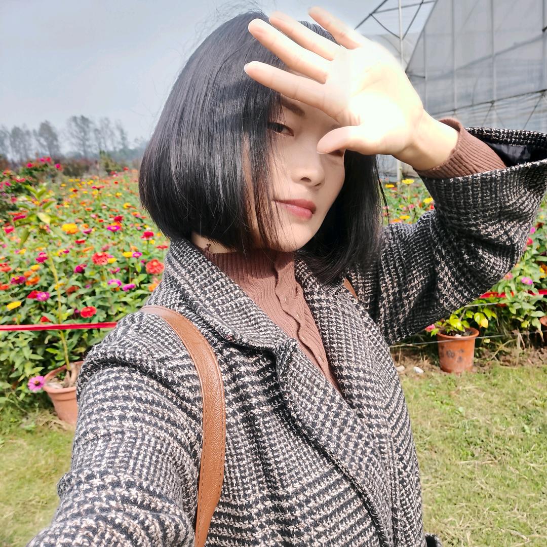 心琴快乐（只求安康）