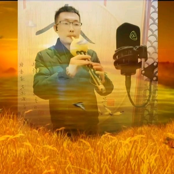 臻艺💫丝韵