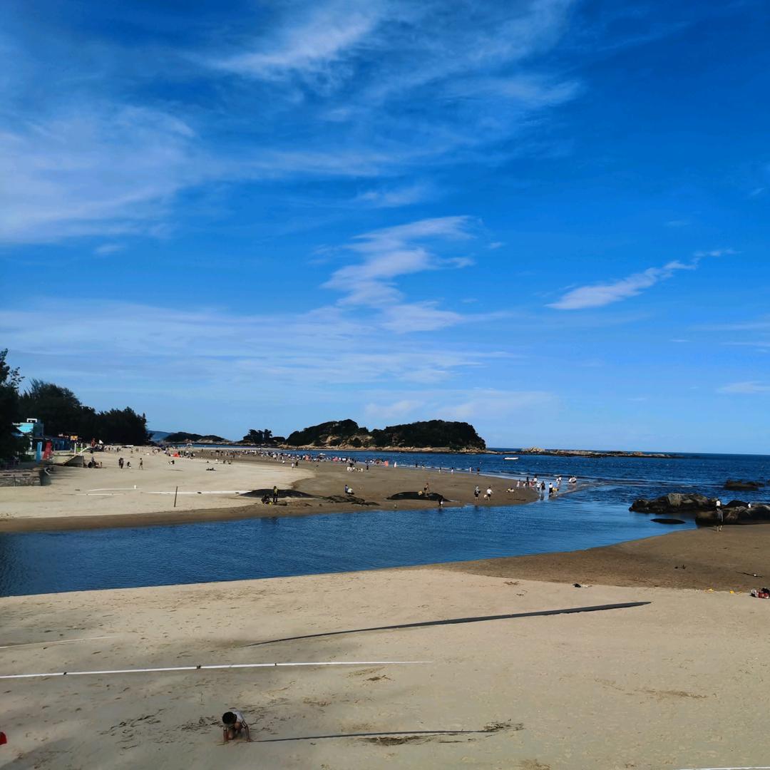 大海鱼棠丶