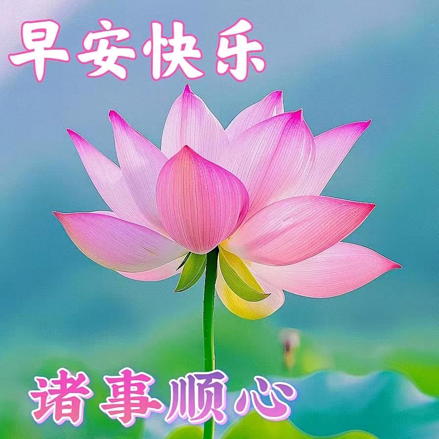 德
