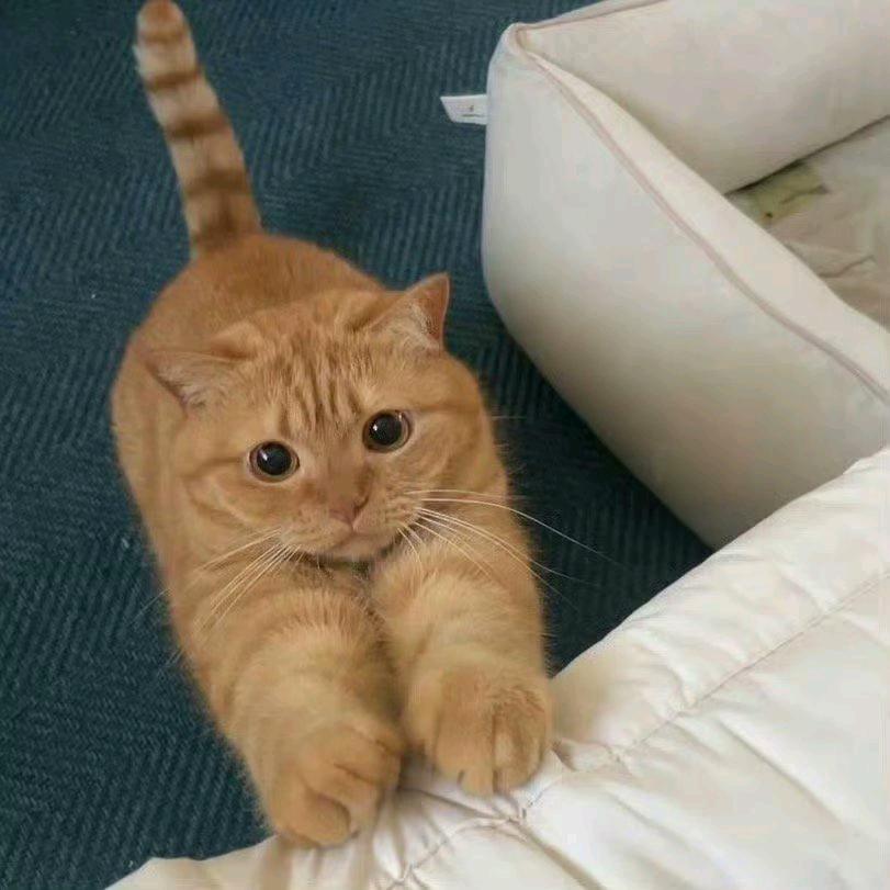 小何-.-