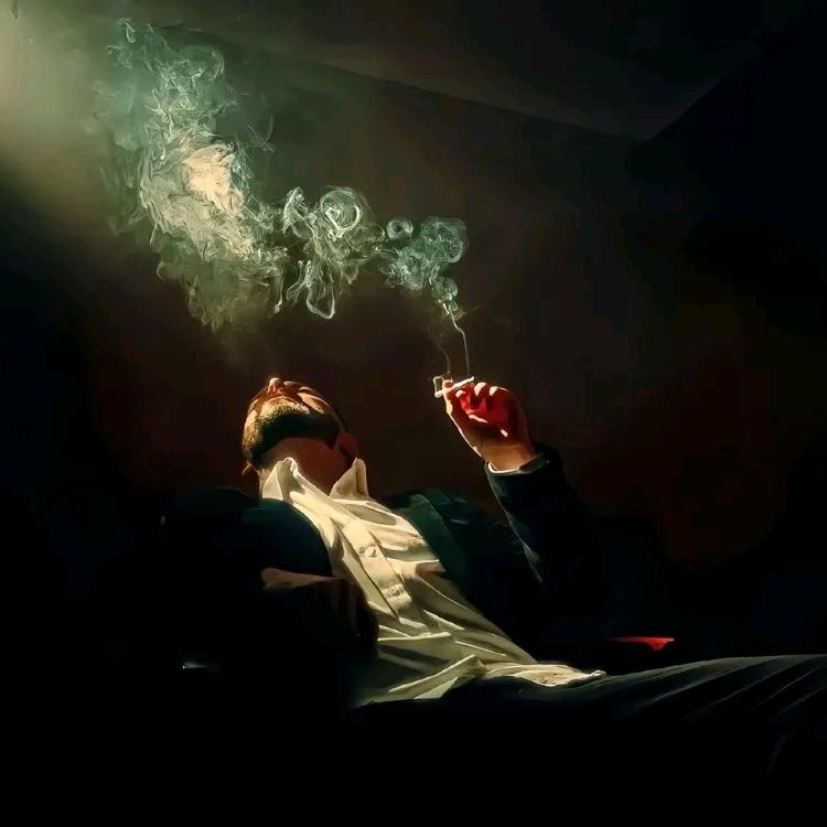 迷茫旅途的小羔羊