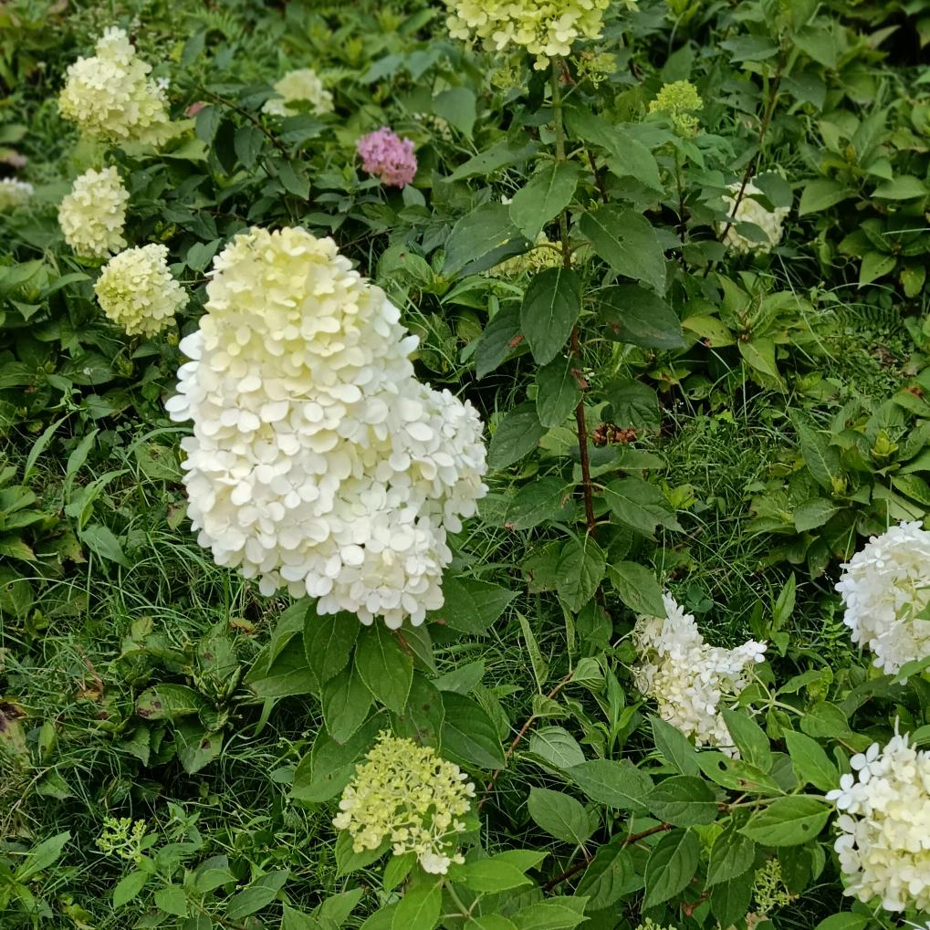 可爱宝贝