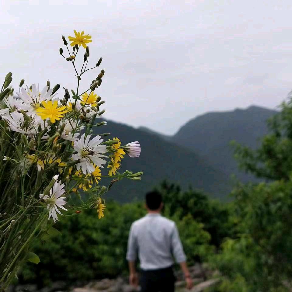 @是小胖呀