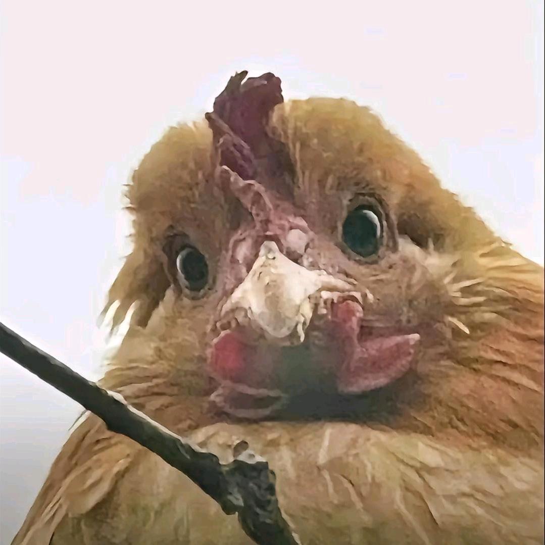 阪下七七子