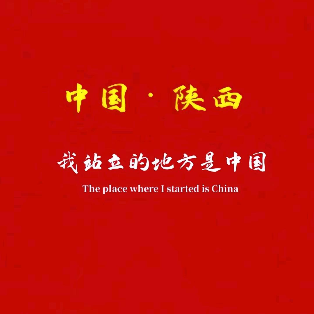 旺财是只猫🐱头像