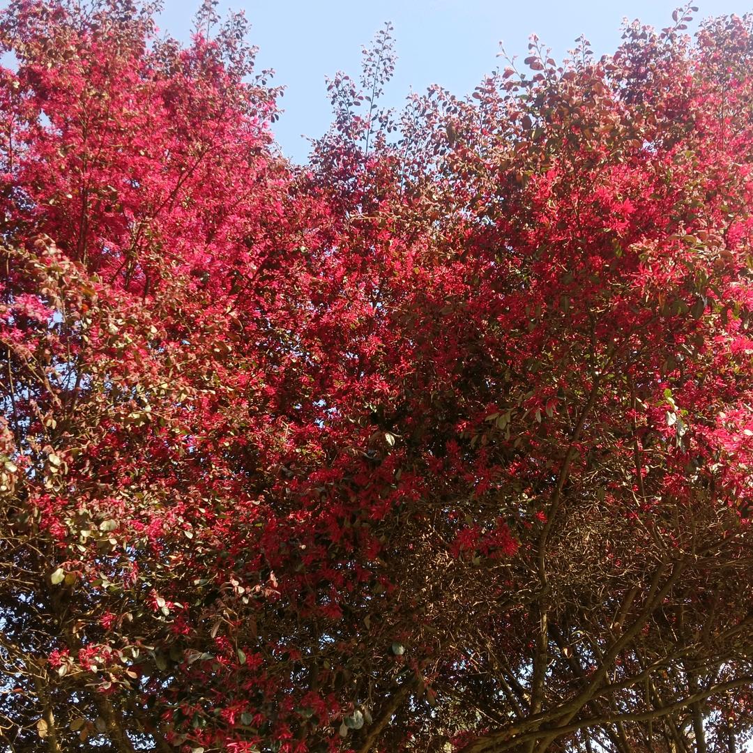 开心的蒋家幺妹！🌸🌸🌸🌹🌹🌹