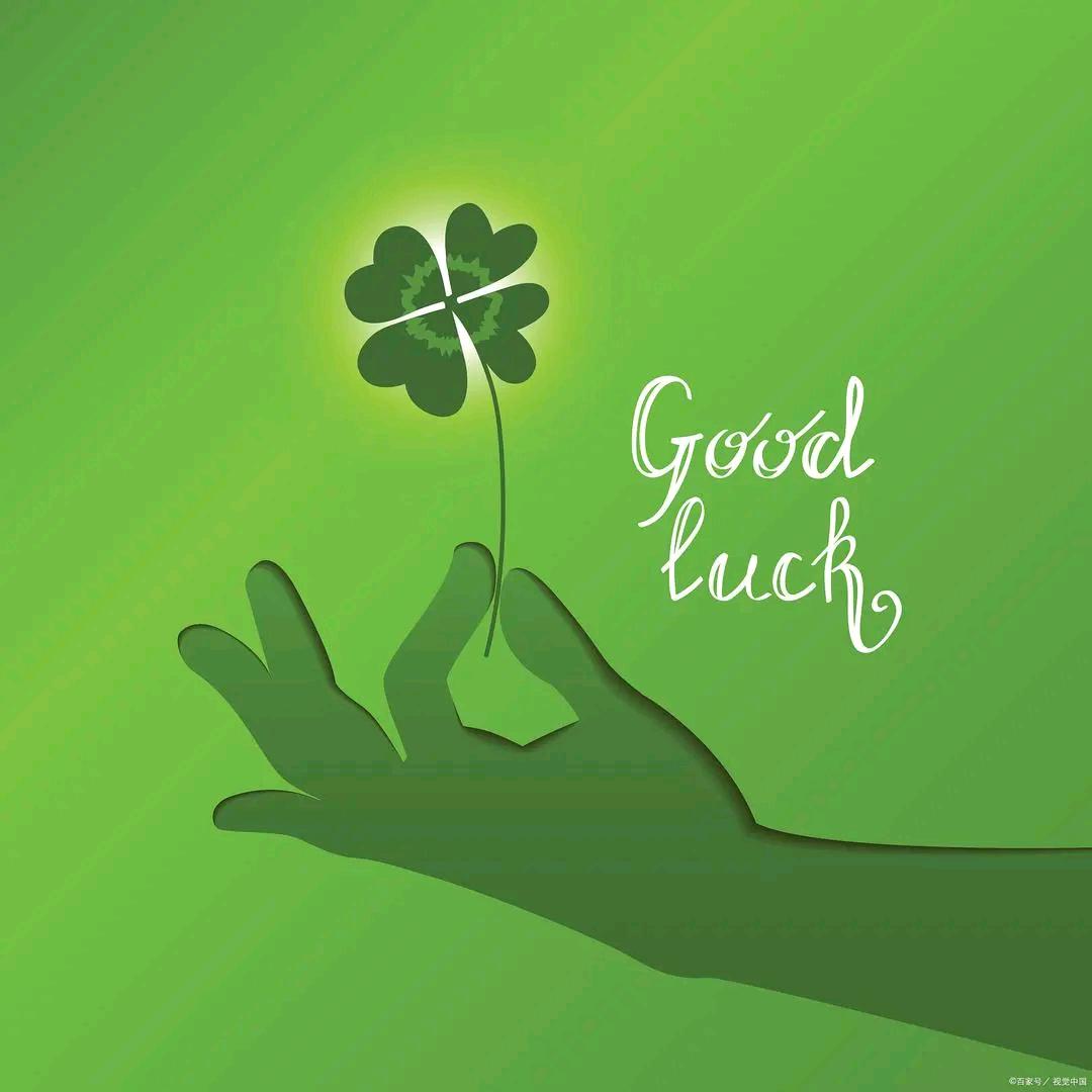 遇上枫叶的喜欢