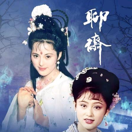 小趴菜追剧