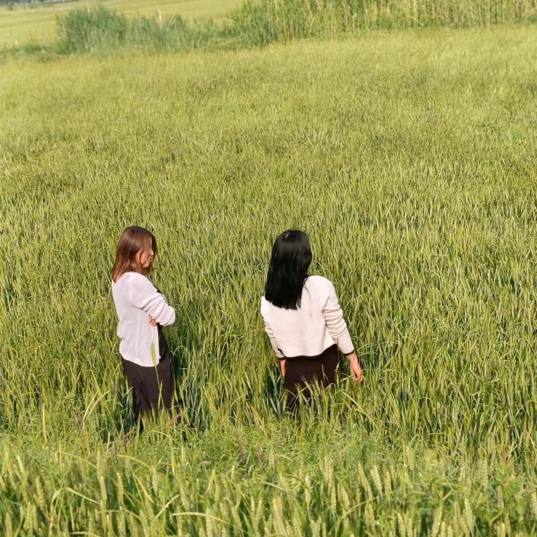 烧不熟，二傻子