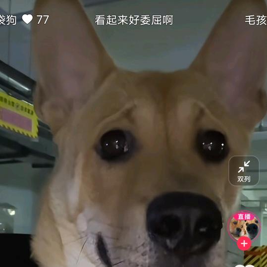 74867406140