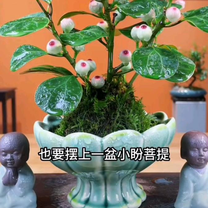 AA。海纳百川。