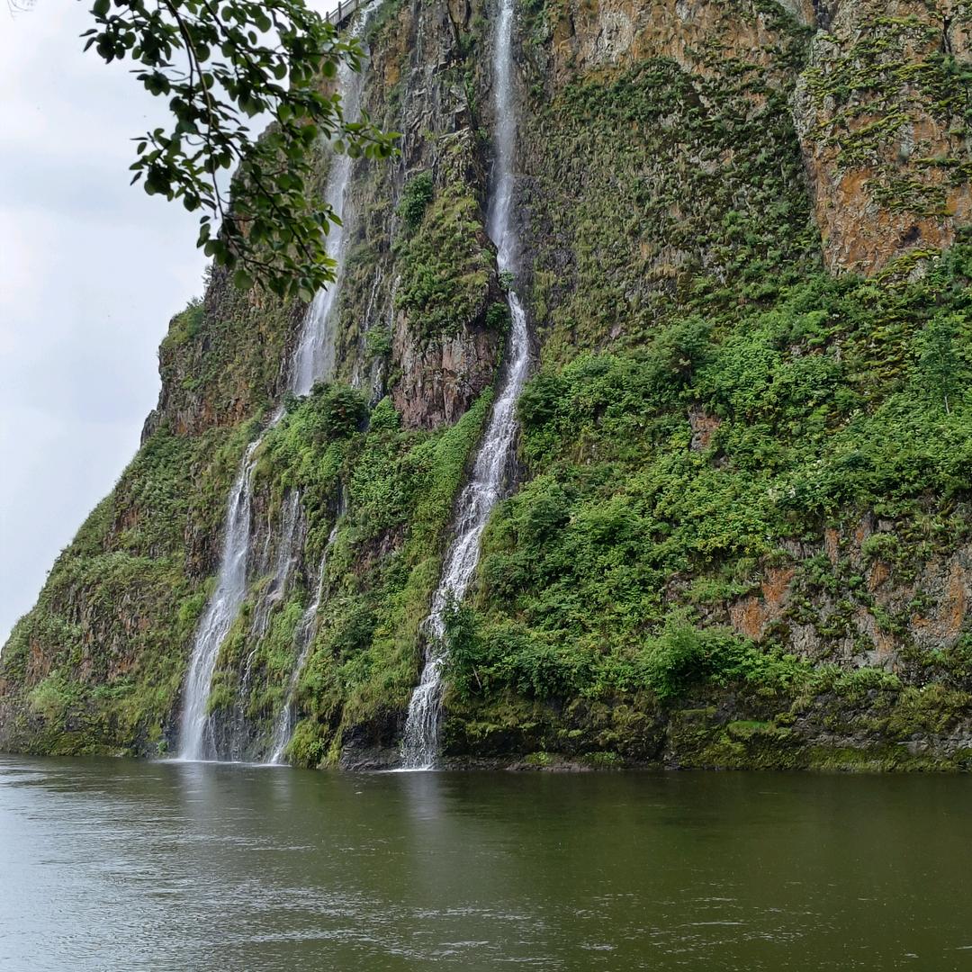 为何只许春回去，却不容我再少年