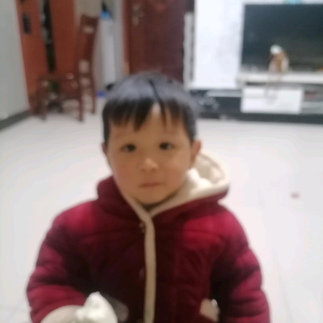 伴仙