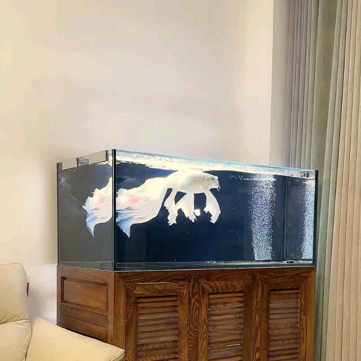 做菜我是认真的