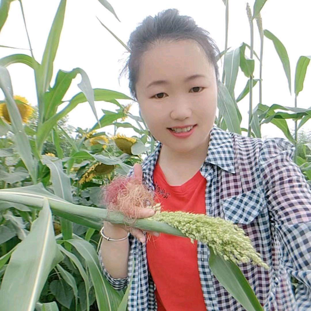 福妹 早6.10