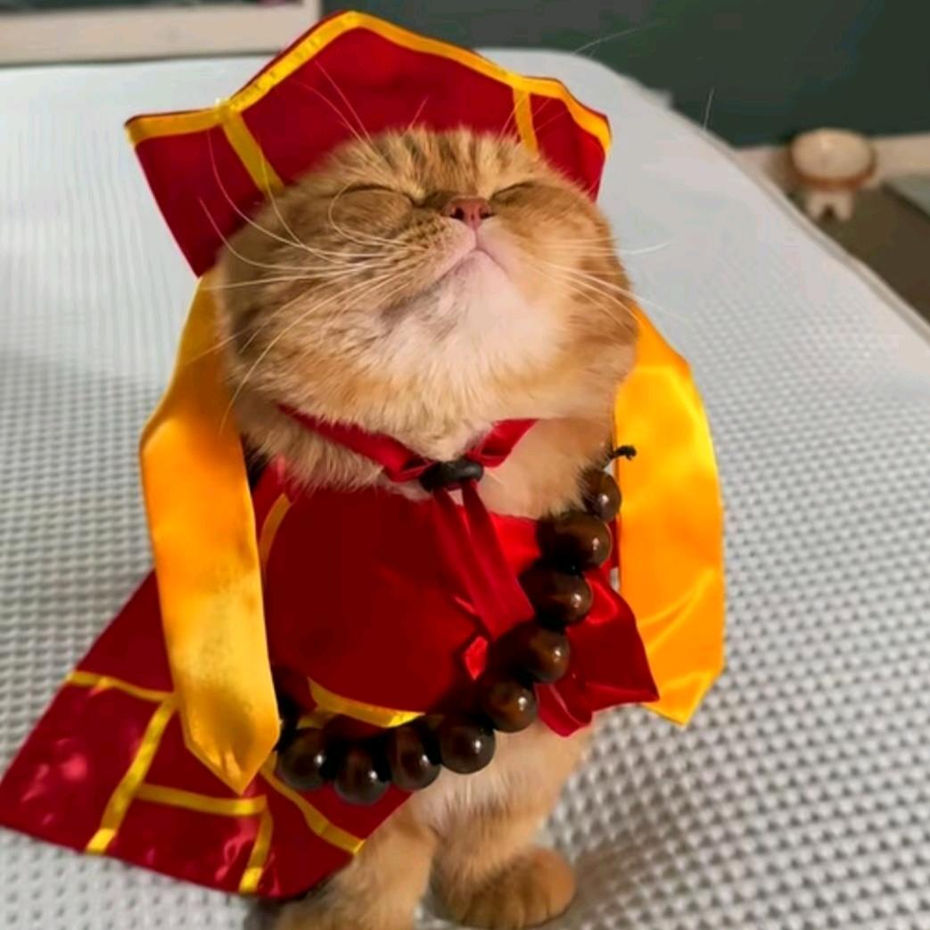 এ᭄ꦿ城南旧梦ོꦿృ༊