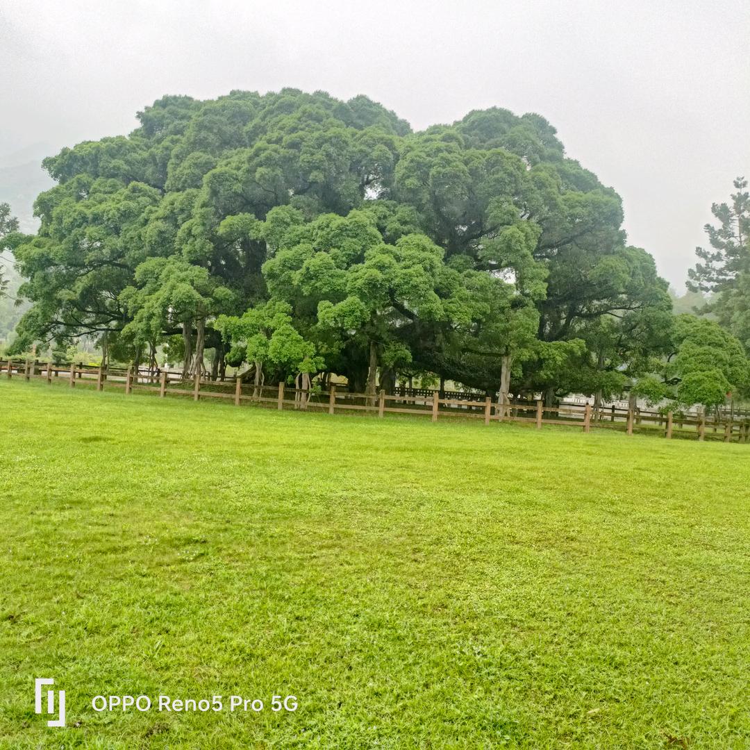 ꧔ꦿ᭄余生💞有你᭄࿐