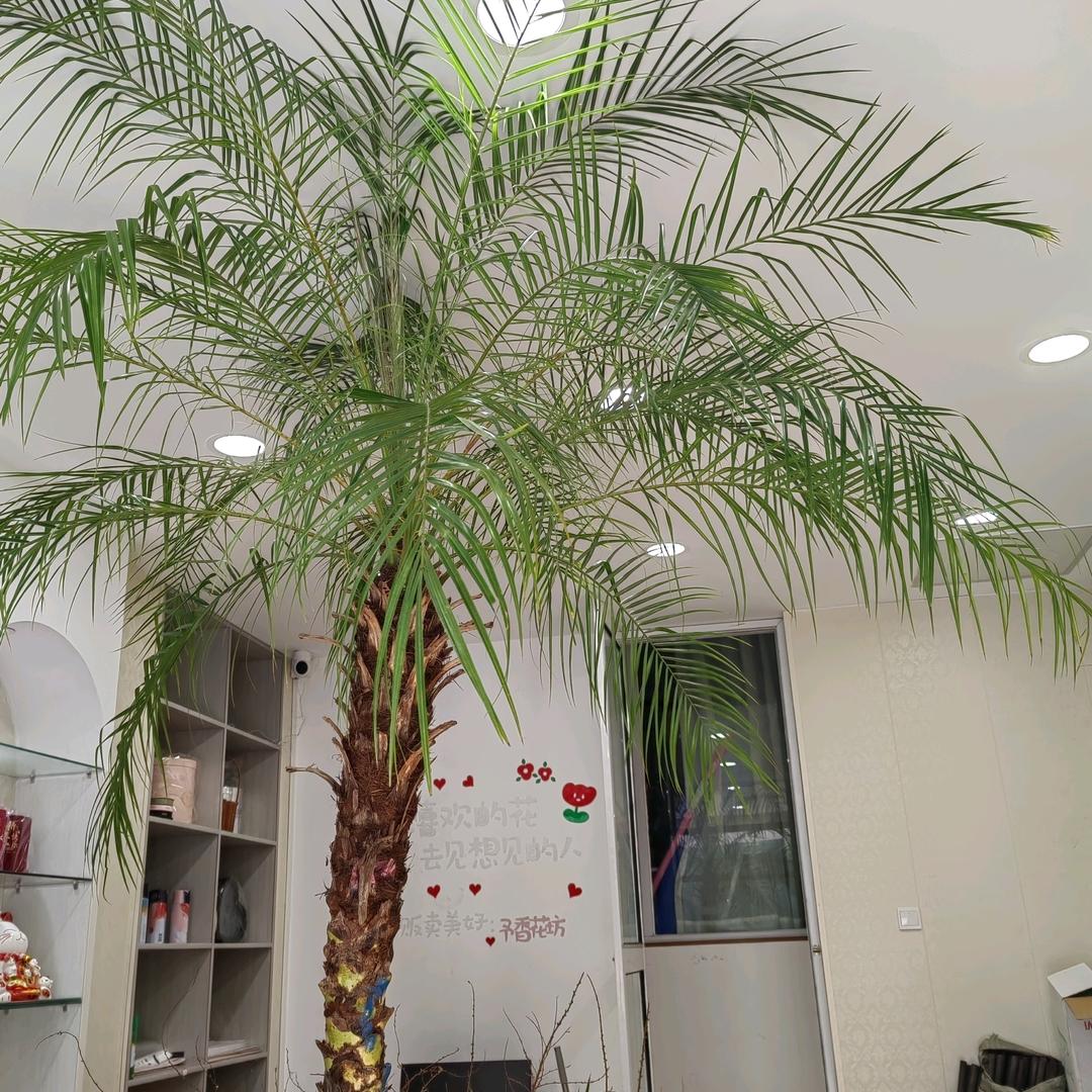 苏州予香花坊