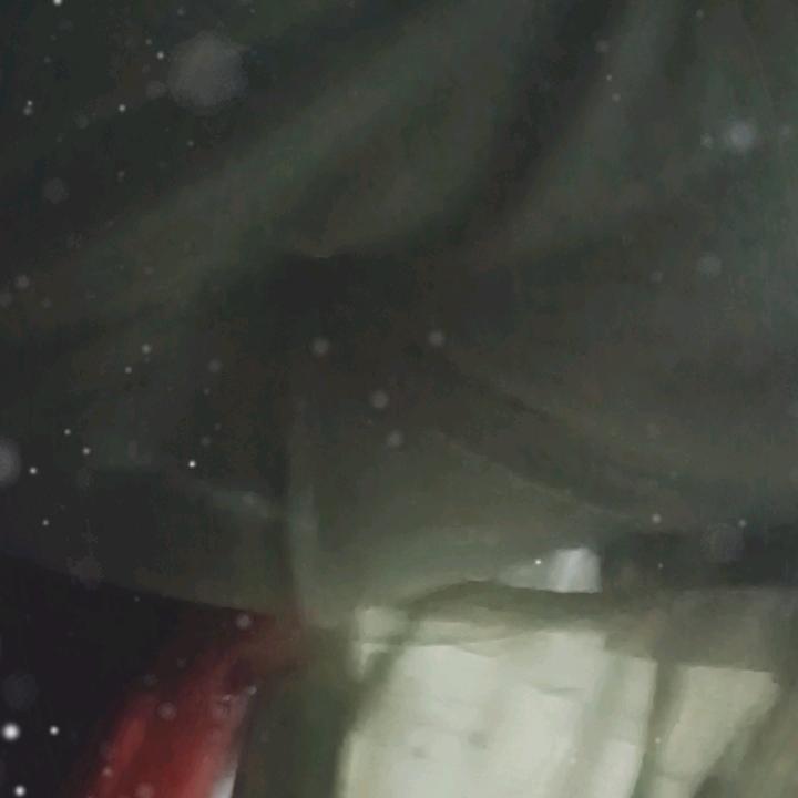 李良文
