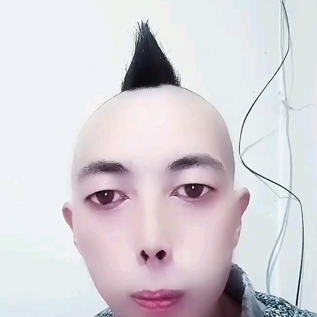 林中三毛