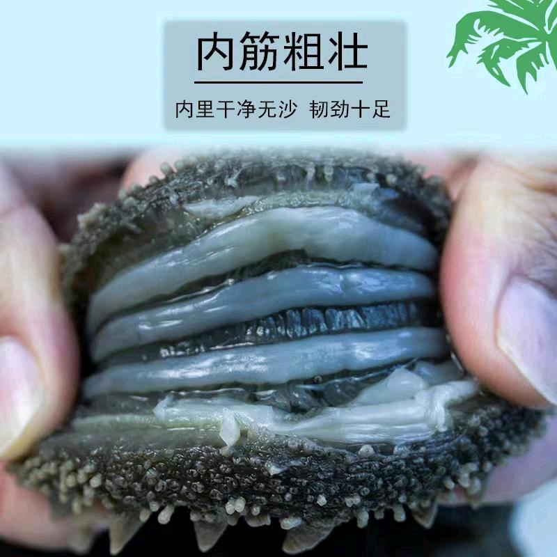 大连扬名海参