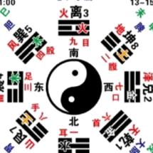 仇池山人医者仁心