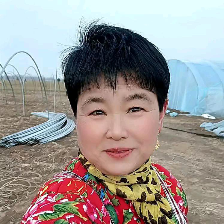 七月的风
