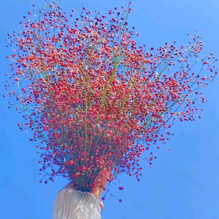 挚爱🌹