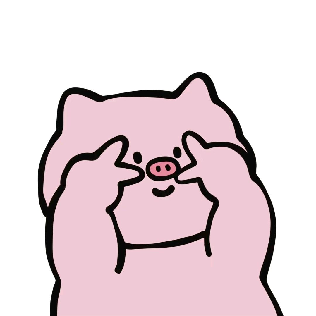 今天吃什么