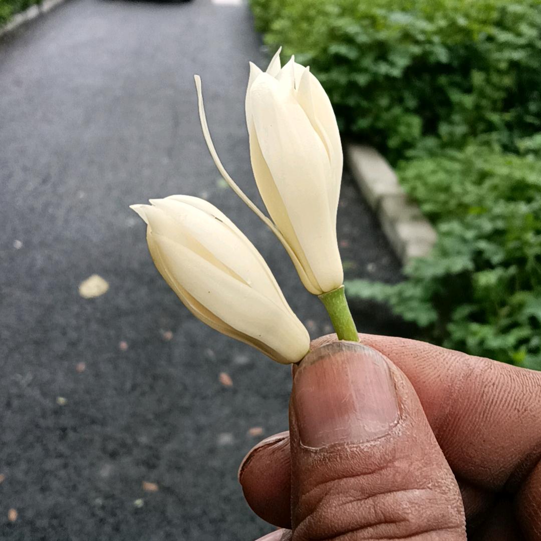 😊黑哥😊