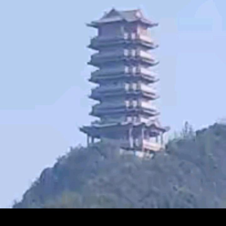 天天好运