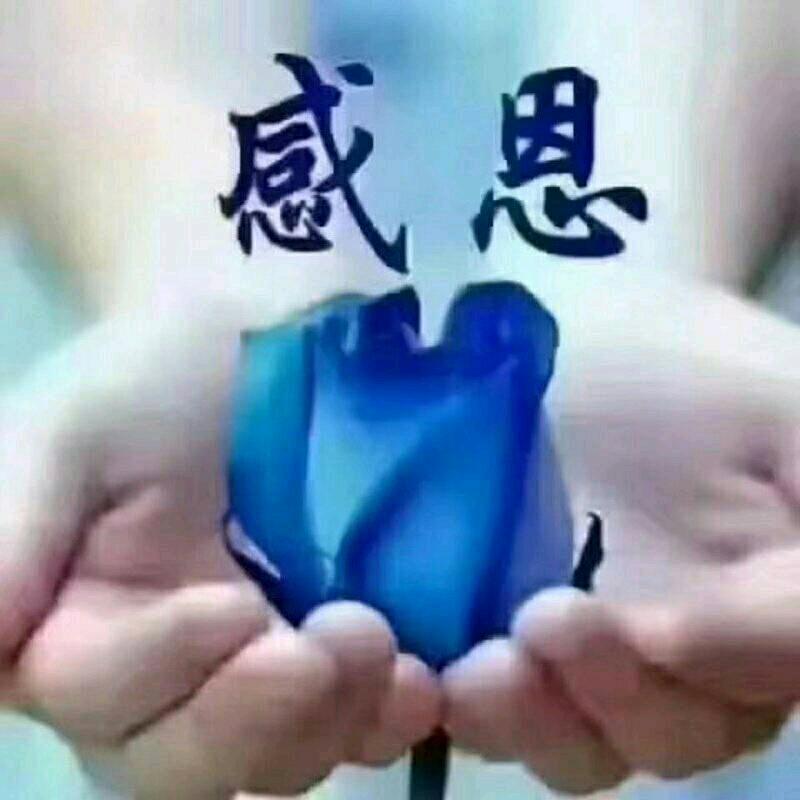 陌璃