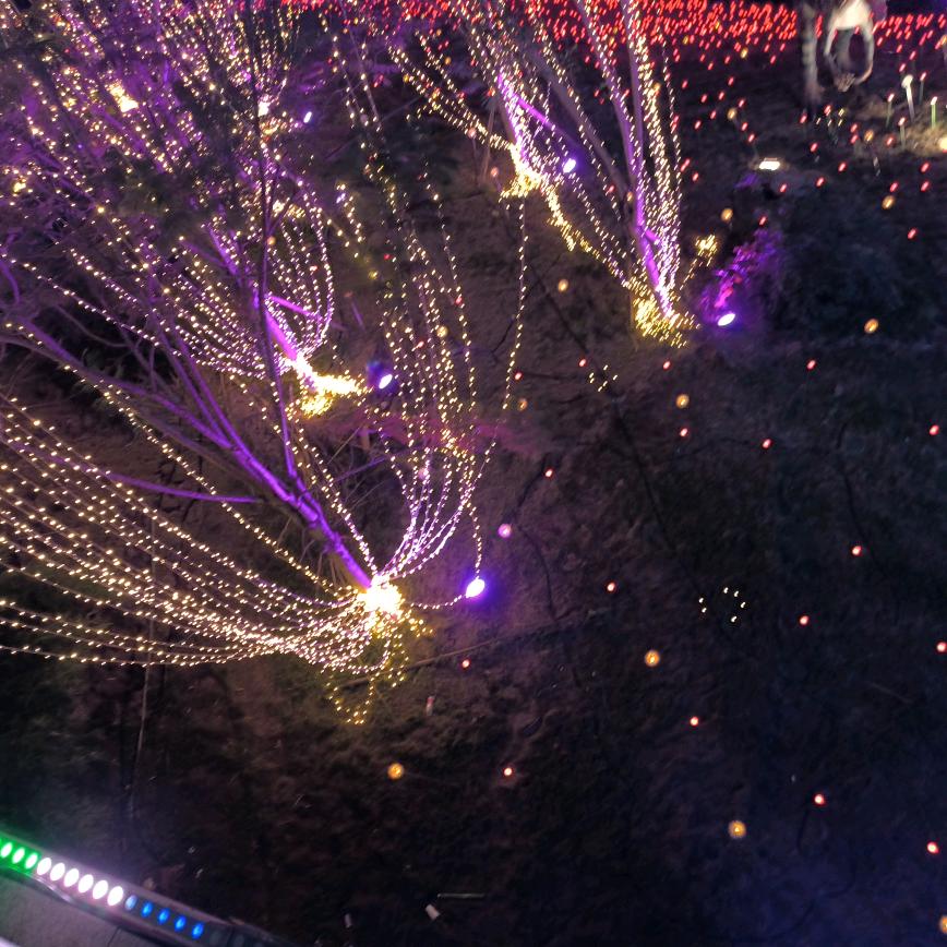 云中君一点不云