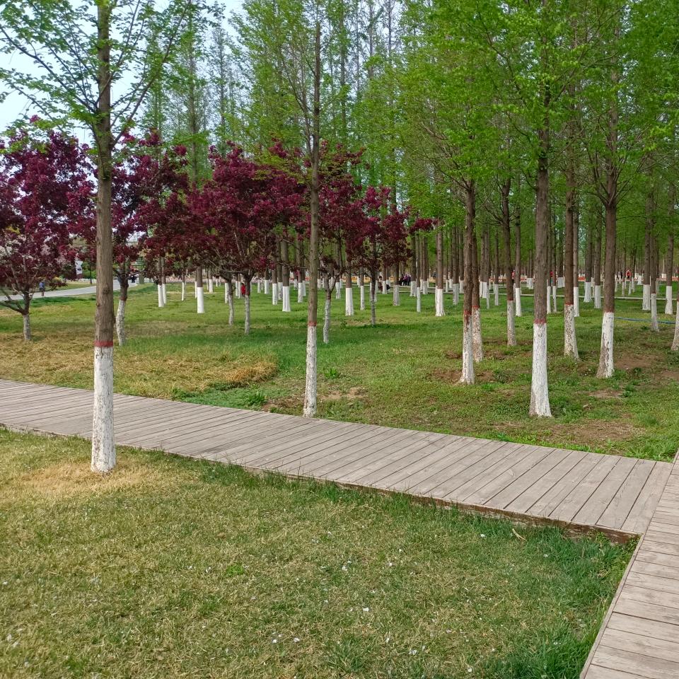 家庭教育成长教练