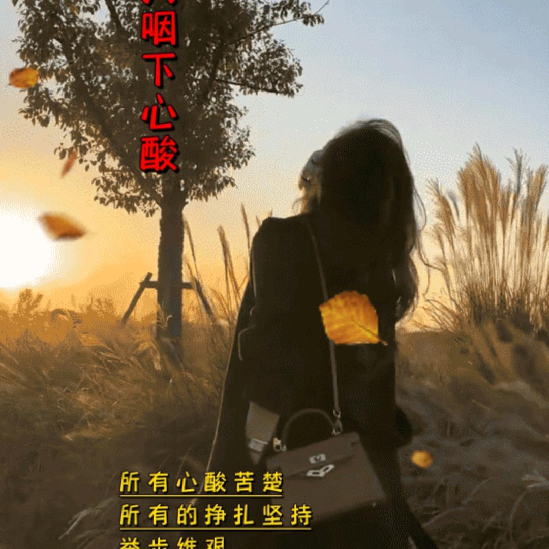 🌴🌴🌴开心果