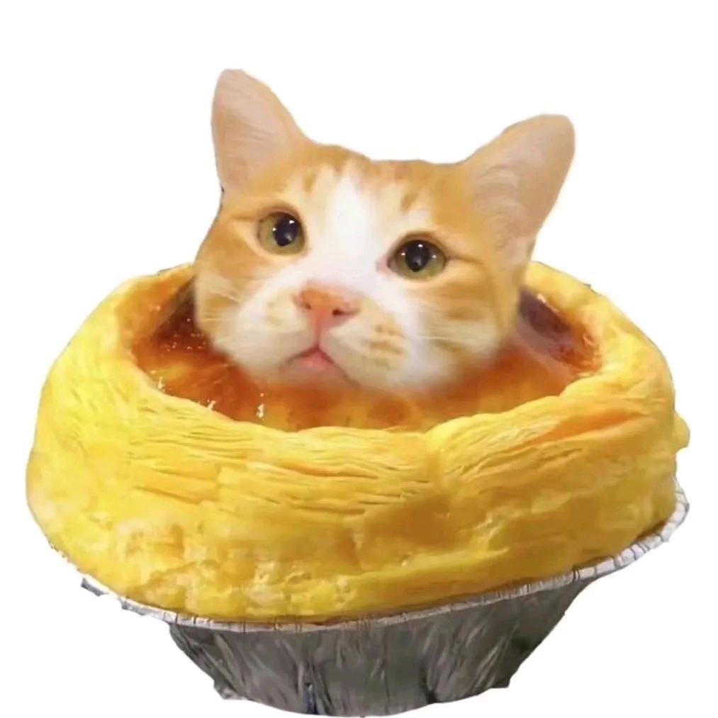 中国非著名遵纪守法好公民