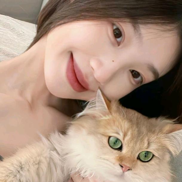 椰汁小猫