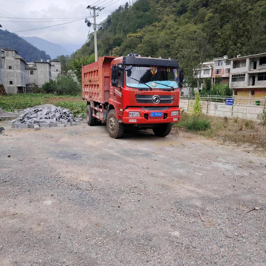 除了坚强，别无选择