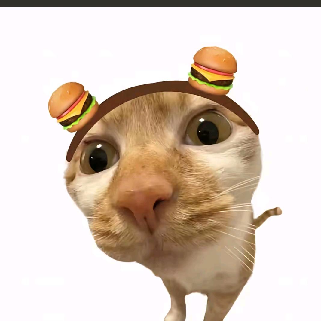 母猪产后护理☺️😚